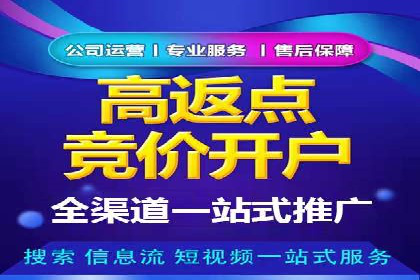 百度竞价代运营实战：某电商平台的销量翻倍秘诀